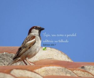 MyD Delivery Product Image